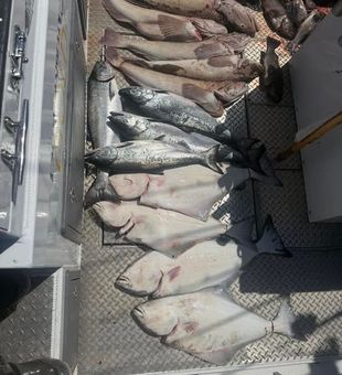 Neah Bay, WA delivers.