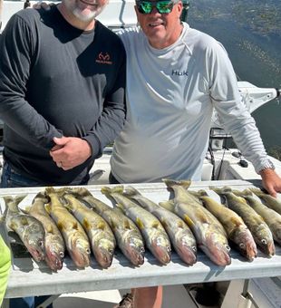 Best Walleye Charter Lake Erie Dunkirk