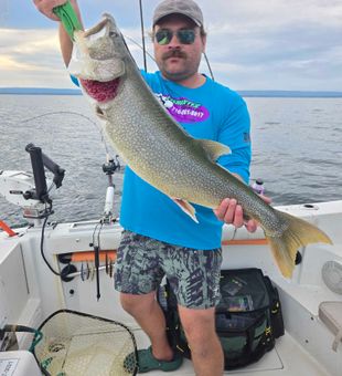 Beautiful lake trout from Dunkirk NY waters!