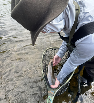 Casting lines and chasing dreams in Provo's partly cloudy paradise!