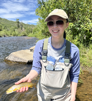 Awesome Colorado brown trout!