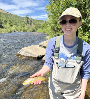 A beautiful Sea Trout reeled in during a day of blissful fly fishing in Provo, UT.