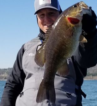 Smallmouth Bass: Branson's aquatic treasures.