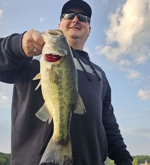 Largemouth Bass, Branson MO: A reel beauty!