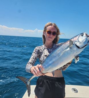 coral sea fishing charters