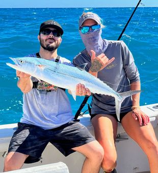 coral sea sportfishing