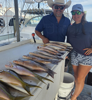 Rain can't dampen the thrill of deep sea light tackle action!