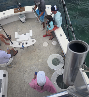 Exciting deep sea light tackle action at Whale Harbor Marina! Best fishing adventure with quality catches on deck.