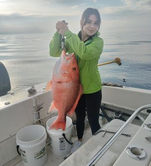 Northern Red Snapper Trophy in Jacskonville FL