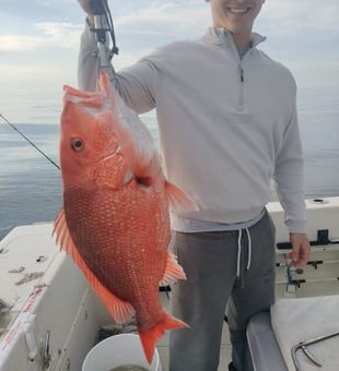 Northern Red Snapper catch trips Jacksonville FL