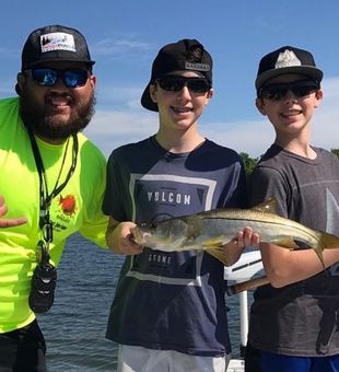 Snook fish from Tampa Bay