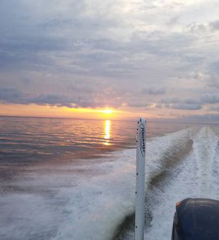 Guided Alabama Fishing Charters