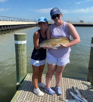 Experience the beauty and fishing opportunities of Gulf Shores, AL, where productive inshore waters make every outing worth remembering.