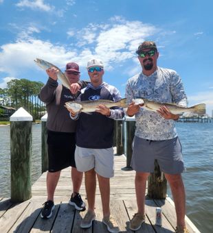Gulf Shores speckled trout success on the dock!