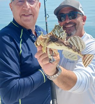 Trinacria: Boston Harbor's angling paradise!