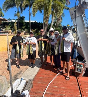 Pompano Beach delivers Mahi Mahi again!