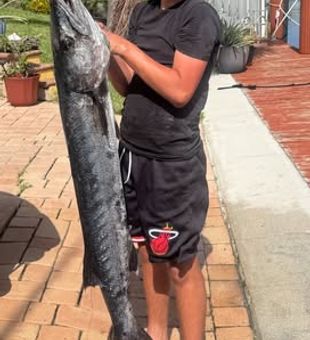 Monster Barracuda! - Pompano Beach, FL.