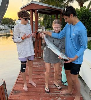 Barracuda - Pompano Beach, FL.