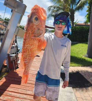 Beautiful vermilion rockfish from Pompano Beach waters!