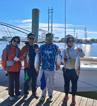 Little Tunny, King Mackerel and Spanish Mackerel from Sneads Ferry!