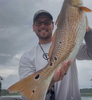 Beautiful Sneads Ferry redfish making the day worthwhile!