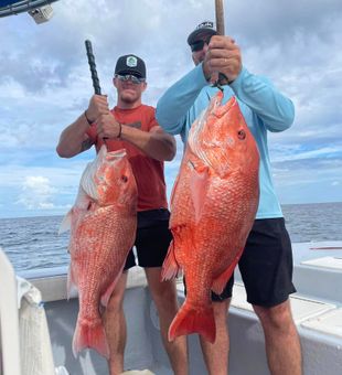 Snapper! Santa Rosa Sound: Catch On!