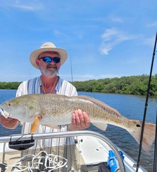 Redfish catch in Sarasota, FL.