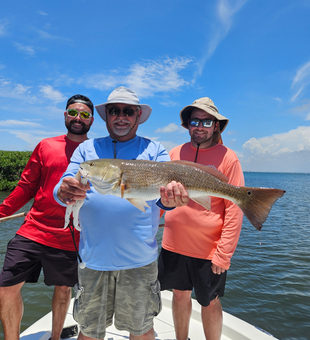 Another beautiful Sarasota redfish in the boat!