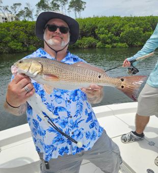 Redfish hotspot in Sarasota waters