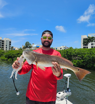 Beautiful Sarasota redfish caught on multiple techniques!