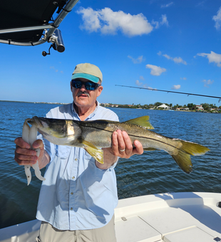 Beautiful Sarasota snook brought to the boat!