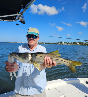 Beautiful Sarasota snook makes for an unforgettable catch!