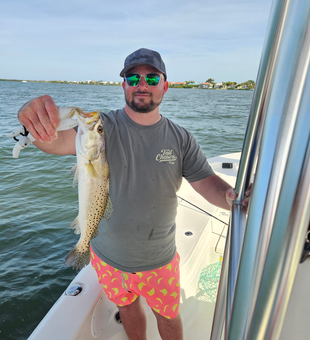Beautiful Sarasota speckled trout ready for the cooler!