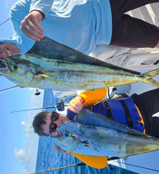 Double Mahi Mahi success in Key Biscayne waters!