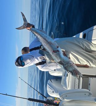 Beautiful King Mackerel caught in Key Biscayne waters!