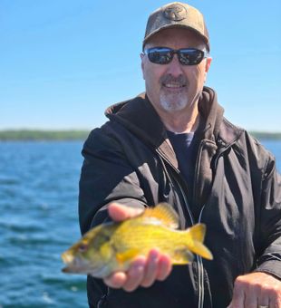 Golden Moments in Wisconsin.