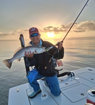 Beautiful speckled trout from Texas City waters!