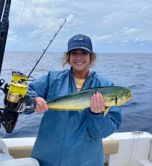 Beautiful Mahi-mahi -Wilmington, NC.