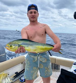 Mahi-mahi reeled in! -Wilmington, NC.