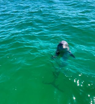 Exploring the inshore waters of Panama City.