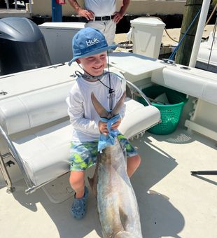 Chasing fish under Panama City sun