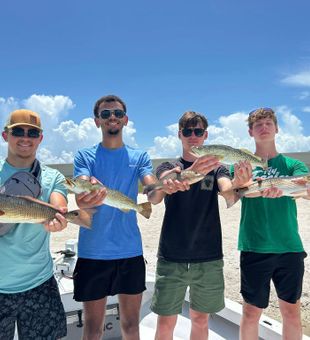 Trouts and Reds from Flats fishing trip today.