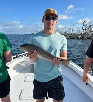 Redfish catch from inshore fishing trip.