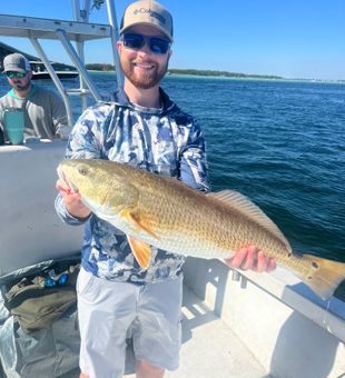 Red Fish Biting