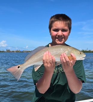 Redfish dreams on Pine Island.