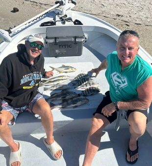 Great sheepshead, speckled trout, and jack crevalle catch on the boat