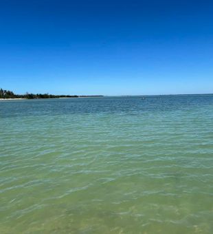 Perfect fishing waters in St James City FL