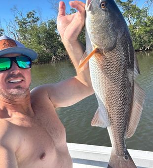 St James City redfish making the day perfect!