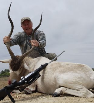 Exotic deer in Texas