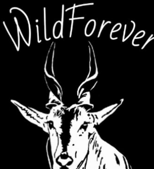 WildForever - Texas Outfitters